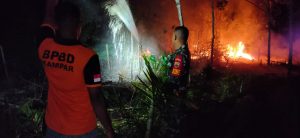 Lebih Kurang 3 Hektar Lahan Sawit dan Karet Masyarakat Ludes Terbakar.