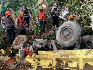 Satu Anjing Pelacak Temukan Titik Diduga Korban Tertimbun Longsor Cianjur