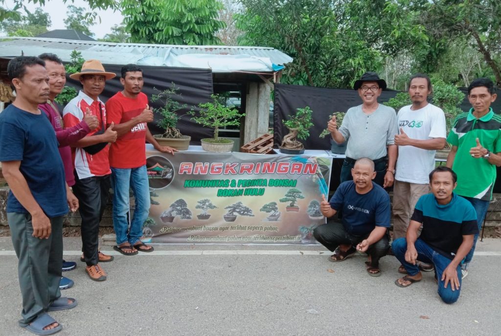 Perkuat Soliditas Sesama Pecinta Bonsai di Rokan Hulu, Angkringan Komunitas Bonsai Pajang Tanaman Bonsai