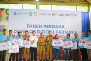 Pj.Bupati Lakukan Panen Perdana Cabe Merah Keriting Sistem Digital Farming.