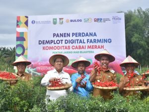 Pj Bupati Kampar Apresiasi Demplot Digitas Farming Telah Diterapkan di Kampar