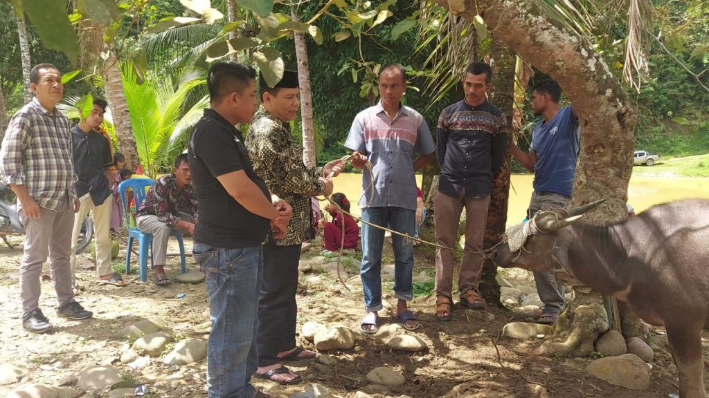 Dinas PMD Kampar Serahkan Bantuan Hewan Qurban ke Masyakat Desa Ludai