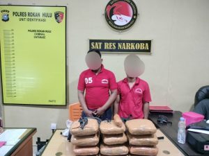 Dipimpin AKP Riza, Personil Sat Resnarkoba Polres Rohul Amankan Daun Ganja Kering 9,1 Kg Dengan 2 Tersangka