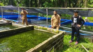 Dukung Budidaya Perikanan di Desa Lubuk Bendahara Timur, GEC Initiative Melaksanakan Proyek Pembuatan Pelet Ikan dari Limbah Sawit