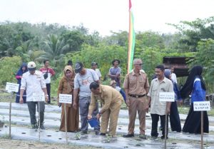 PJ Bupati Kampar diwakili Asisten 1 ikuti  Tanam 1,5 Hektar Cabe Merah