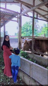 Content Creator Facebook Bersama Restu Kurnia/Bunda Afan Lakukan Program Sedekah Daging Sapi di Hari Raya Idul Adha