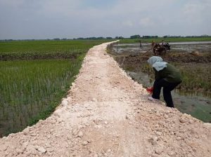 Mempermudah Petani Dinas Pertanian Tanaman Pangan dan Hortikultura Kabupaten Kampar Bangun Jalan Usaha Tani