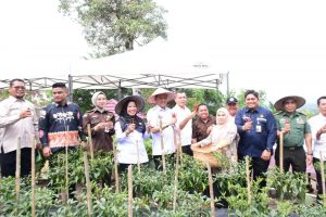 Pj Bupati Kampar Hambali Panen Cabe, Apresiasi Kerjasama Kampar Aneka Karya dengan PT PHR.
