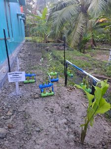 Implementasi Sistem Hidroponik Dalam Menanam  Sayuran Di Desa Sungai Segajah Olah  Mahasiswa Kukerta Universitas Riau