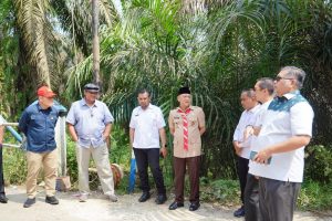 Pj Bupati Kampar Hambali Tinjau Lokasi Tragedi Maut di Siabu yang Menewaskan Satu Pekerja Akibat Menabrak Portal PT Ciliandra