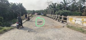 Camat Tapung Hulu Sudah Terima Laporan Terkait Jembatan Berlobang Talang Danto dan Danau Lancang