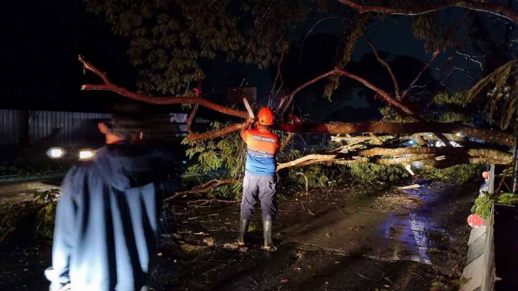 Hujan dan Angin Kencang Melanda Kampar,  Masyarakat dan Polisi Berjibaku Bersihkan 6 Pohon Tumbang