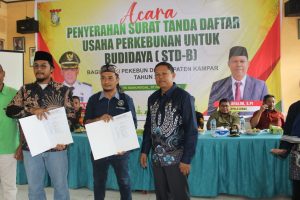 Disbunnak Keswan Kampar Serahkan 1.500 STDB Kepada Pekebun di Kabupaten Kampar