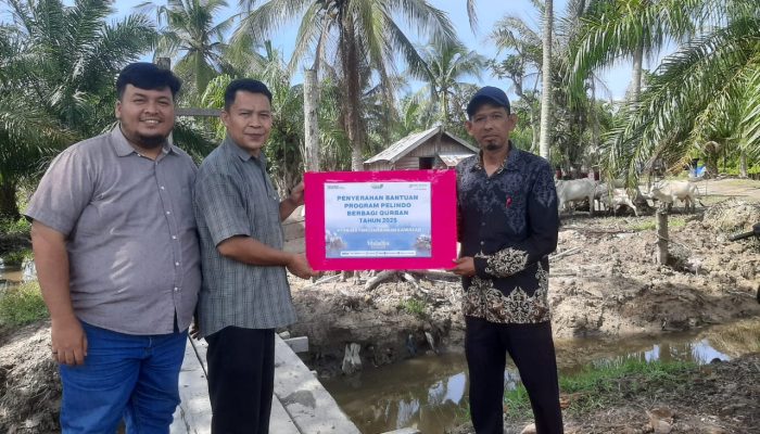 Peduli Lingkungan Sosial, PT Prima Pengembangan Kawasan salurkan Hewan Qurban ke Desa Kuala Indah