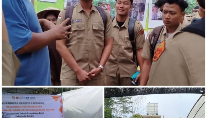 Mahasiswa Politeknik Kampar Kunjungi Greenhouse “Petani Berseragam” dalam Rangka Praktik Kewirausahaan