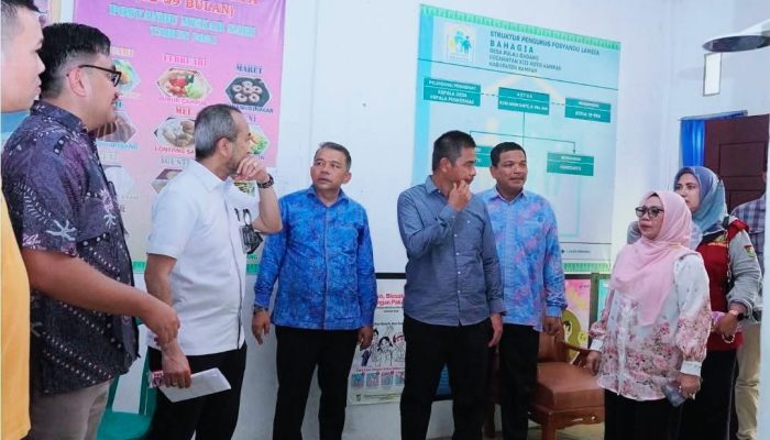 Bupati dan Wakil Bupati Kampar Sambut Kunjungan Menko Pangan ke Desa Pulau Gadang