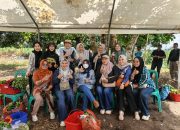 TP PKK Kampar Dorong Ketahanan Pangan Lewat Agrowisata Petik Melon di Karya Indah