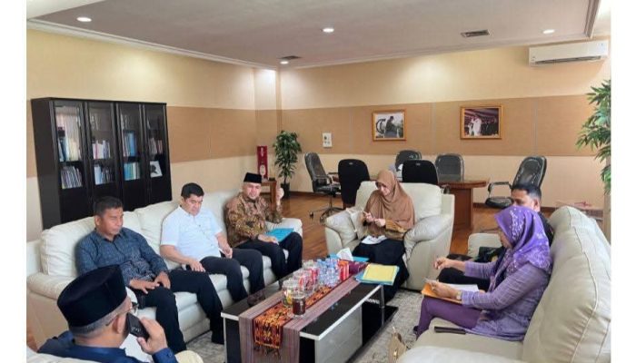 Bupati Kampar Ahmad Yuzar Bersama OPD Terkait Audiensi BKN RI