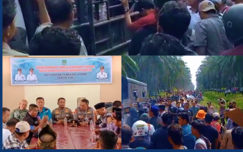 Gerakan 1.500 Anak Kemenakan Bukan Mobilisasi Buruh, HMLT Tegaskan Murni Kesatuan Adat untuk Pengamanan Hak Ulayat Luhak Tambusai