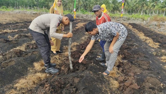 Dukung Ketahanan Pangan Nasional, Polsek Rangsang Tanam Jagung Pipil 0,5 Hektare di Desa Betina