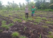 BHABINKAMTIBMAS JADI SAHABAT PETANI