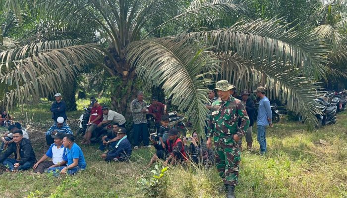 “Imbo Gano”, Nyanyian dari Ladang yang Tak Pernah Padam: Mengawali Perjuangan Warga Senama Nenek