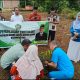 Menanam Harapan Seusai Hujan, Ikhtiar Kecil Menjaga Bumi dari KUA Kecamatan Salo