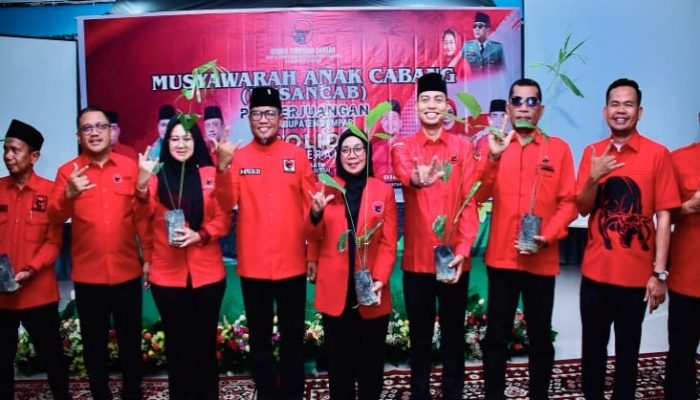 Wabup Kampar Misharti Hadir Dan Ikuti Musyawarah Anak Cabang PDI Perjuangan Se Kabupaten Kampar