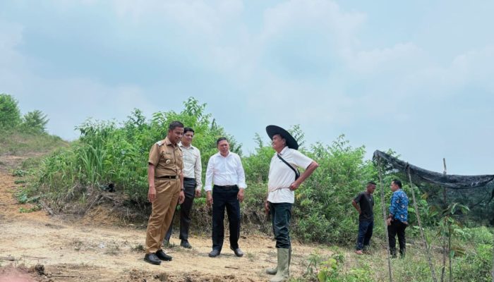 Bupati Kampar Fasilitasi Masyarakat Membuka Lahan Tanpa Membakar, Alat Berat Disiapkan