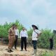 Bupati Kampar Fasilitasi Masyarakat Membuka Lahan Tanpa Membakar, Alat Berat Disiapkan