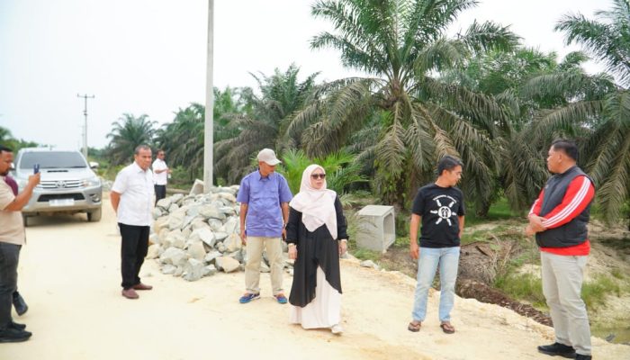 Agar Progres Sesuai Rencana Wakil Bupati Kampar Dr Misharti Tinjau Pembangunan Jalan di Kelurahan Sungai Pagar.